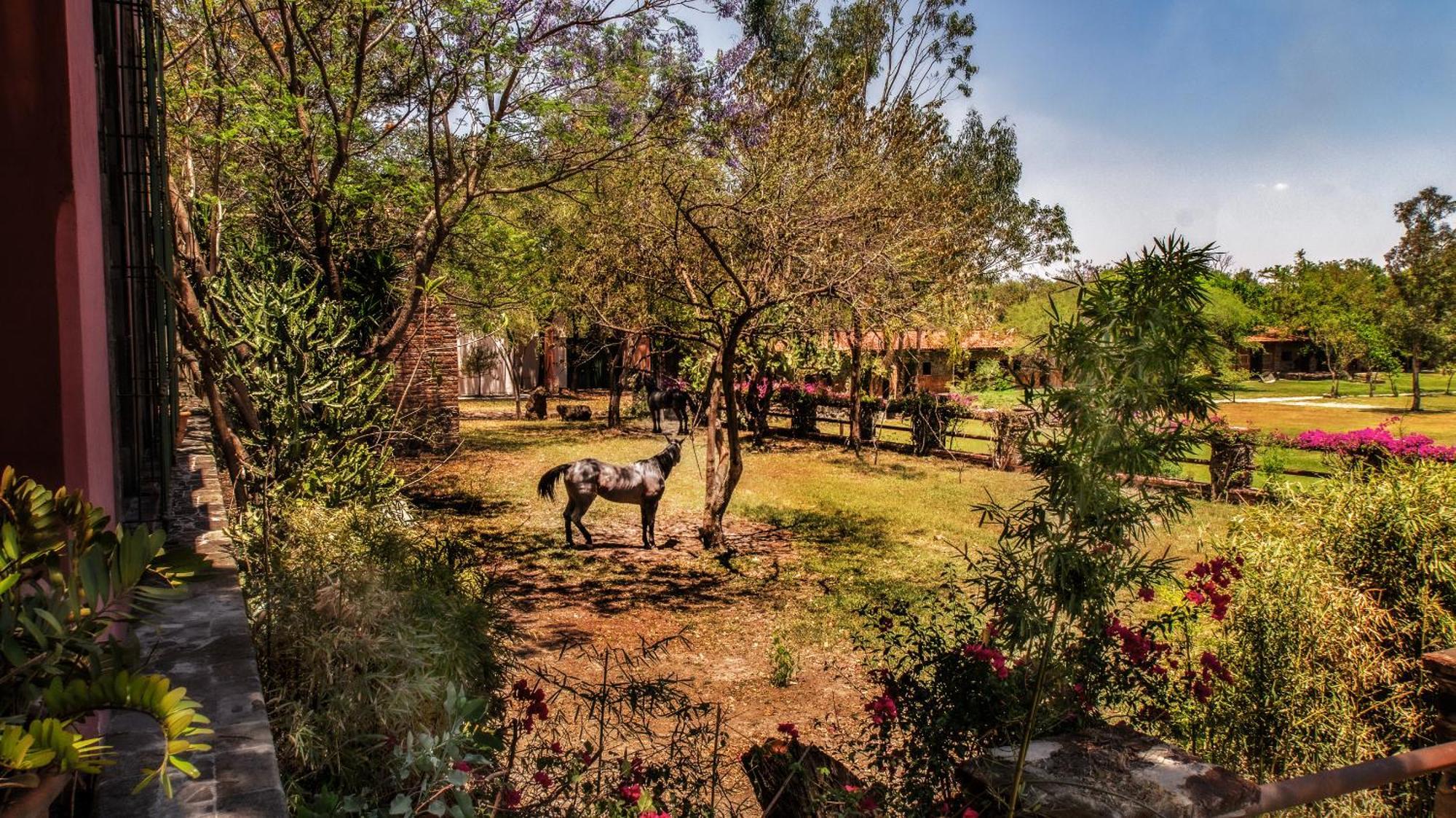 Hacienda Labor De Rivera Hotel Boutique & Eventos Teuchitlán Dış mekan fotoğraf